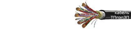 Кабель ТПпэпЗП 600х2х0,5-200