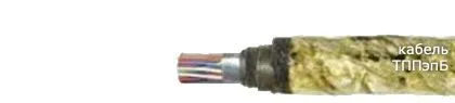 Кабель ТППэпБ 600х2х0,4-200