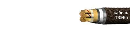 Кабель ТЗЭБп 12х4х0,9
